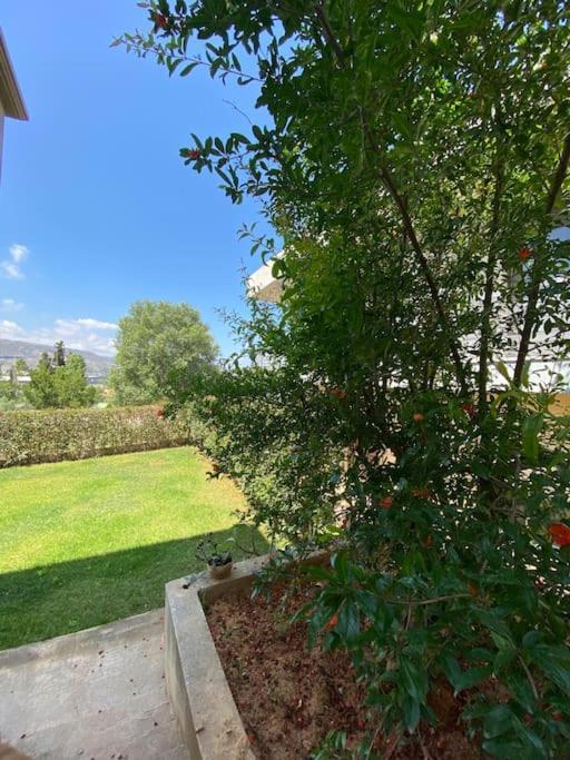 Nickolas Tiny Apartment Souda-Chania Chania  ภายนอก รูปภาพ